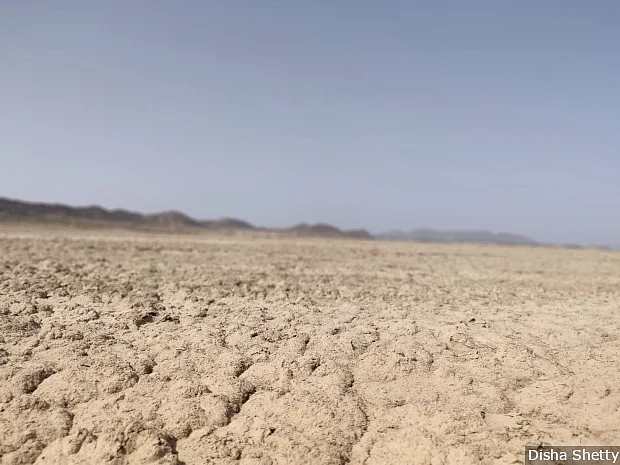 Once India’s largest inland salt water lake, the Sambhar lake in central Rajasthan has all but dried up. It is just one of the lakes to dry in this area, according to satellite data for three decades till 2015.