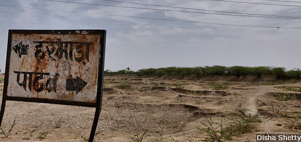 This pond (above) in Harmara village in Rajasthan’s Ajmer district had water till May every year. For two years to 2019, it has dried out by January, according to locals. This picture was shot in the last week of March 2019.