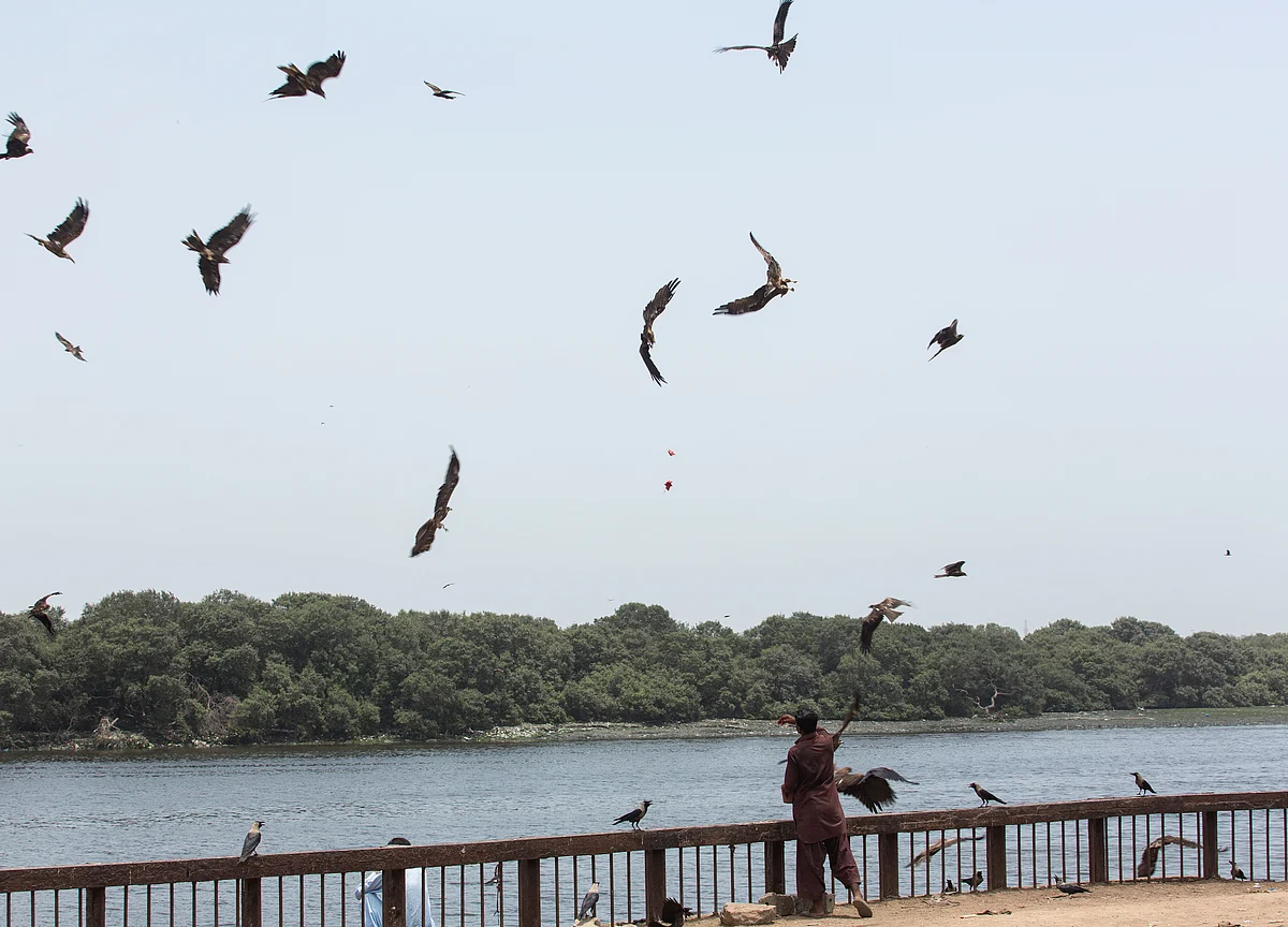 This Is The Time For Vulture Investing, Says Manish Sonthalia