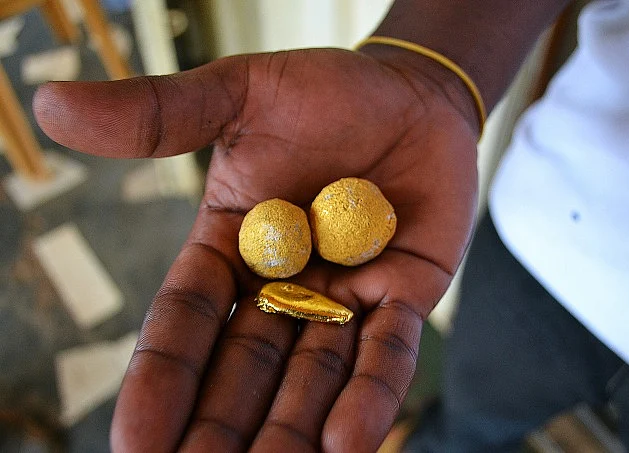 The NASA Veteran Cracking Down on Illegal Gold Miners