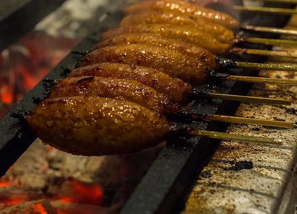 Chicken on a Stick, Y’All? Japanese Yakitori Plants Its Skewers in U.S.