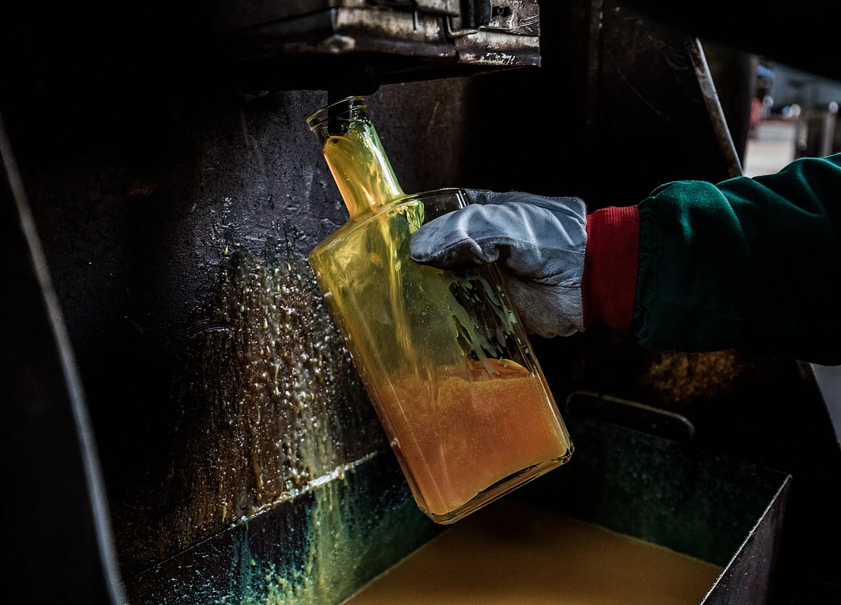 The Dead Cow Finally Produces Oil, a Century After Its Discovery