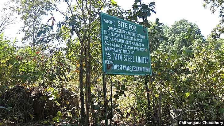 An undulating forested patch in Benedihi village has been marked out for compensatory afforestation by the forest department to offset forest clearance awarded to a Tata Steel Limited mine.