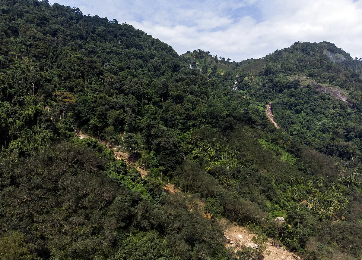 A Rs 56,000-Crore ‘Afforestation’ Fund Threatens India’s Indigenous Communities