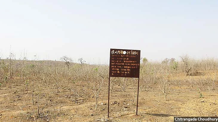 In Korea district in Chhattisgarh, a forest department plantation of 22,000 trees forms a desolate expanse. The government counts such plantations as forests, and has made them a key component of its international commitments of increasing forest cover to mitigate climate change.