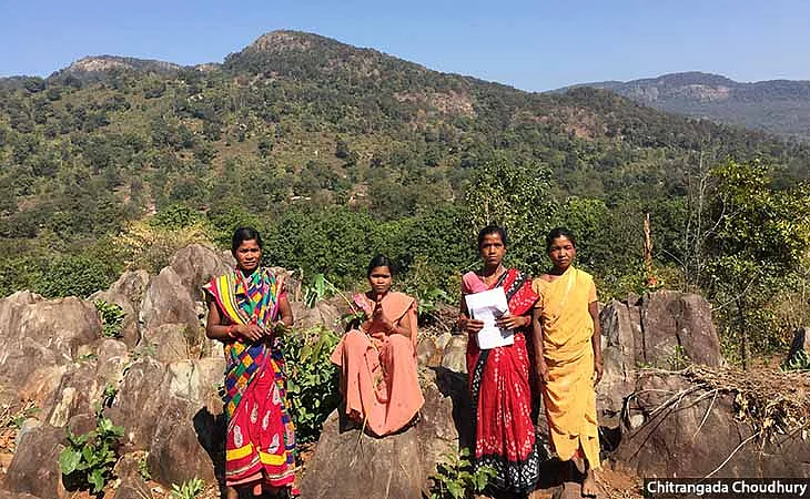 Adivasi residents in Benedihi village of Keonjhar, Odisha have been in conflict with the forest department over plantations on their shifting cultivation lands. Odisha is set to receive the largest share of CAF money in the country.