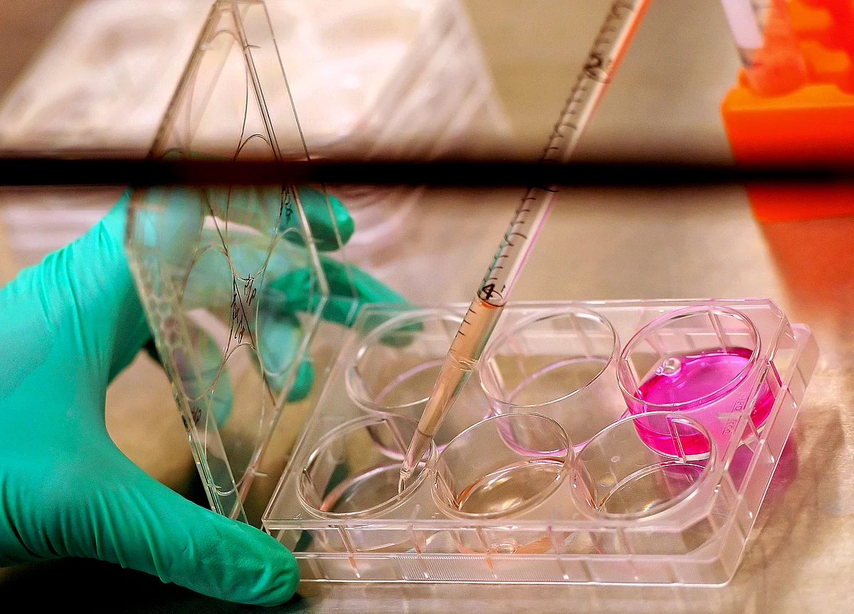 Hedge Fund Fights Over Stem-Cell Company's Value in Cayman Court