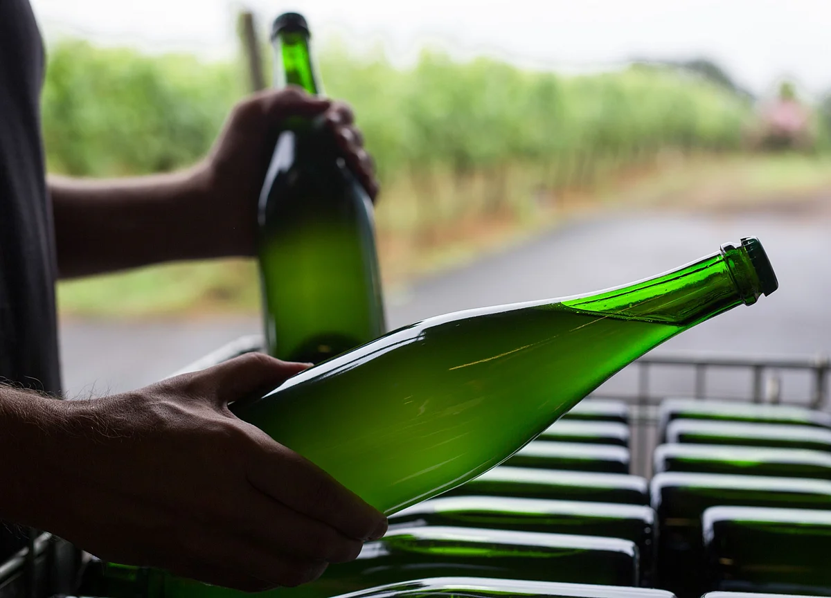 In the Shadow of Mount Fuji, Japan Is Making Incredible White Wines