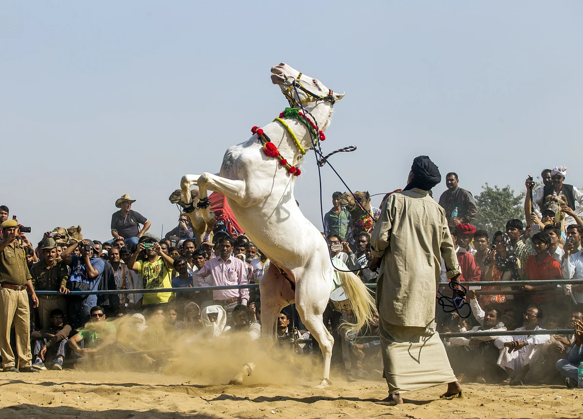 India’s Unicorns Are More Like Workhorses