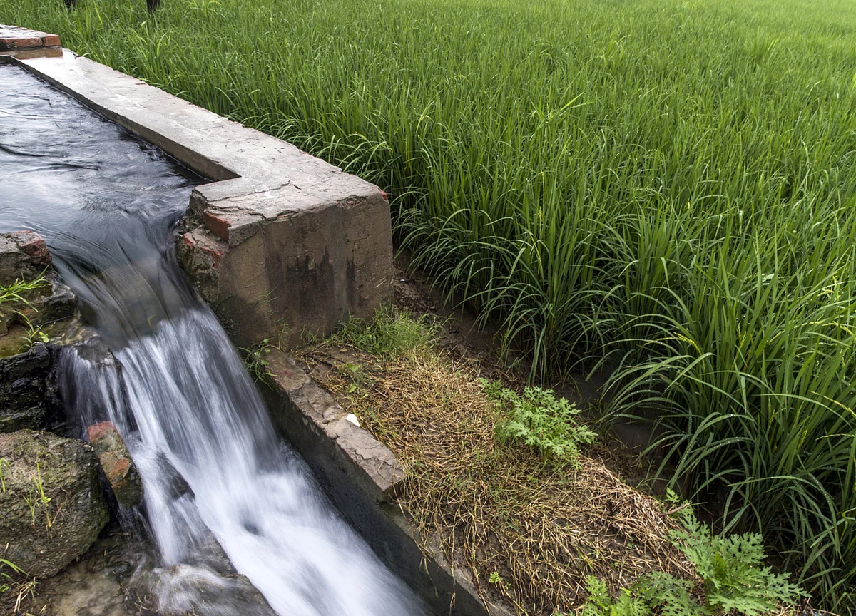In Water-Stressed India, Farmers May Be Asked to Irrigate Less