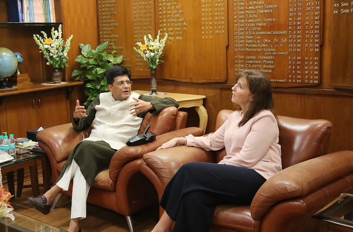Walmart International CEO Judith McKenna Meets Piyush Goyal Over Local Sourcing Norms