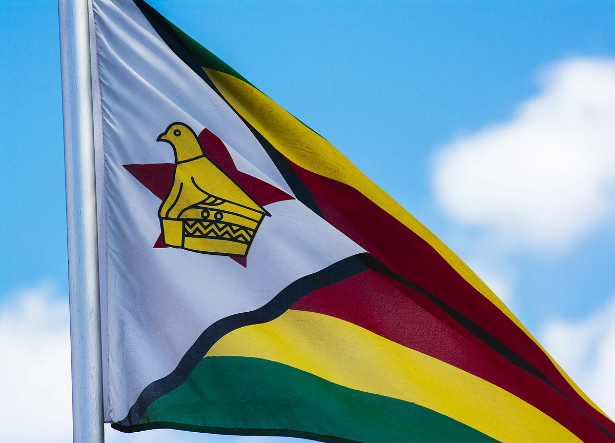 Zimbabwe Distributes Food Aid to People in Cities for First Time