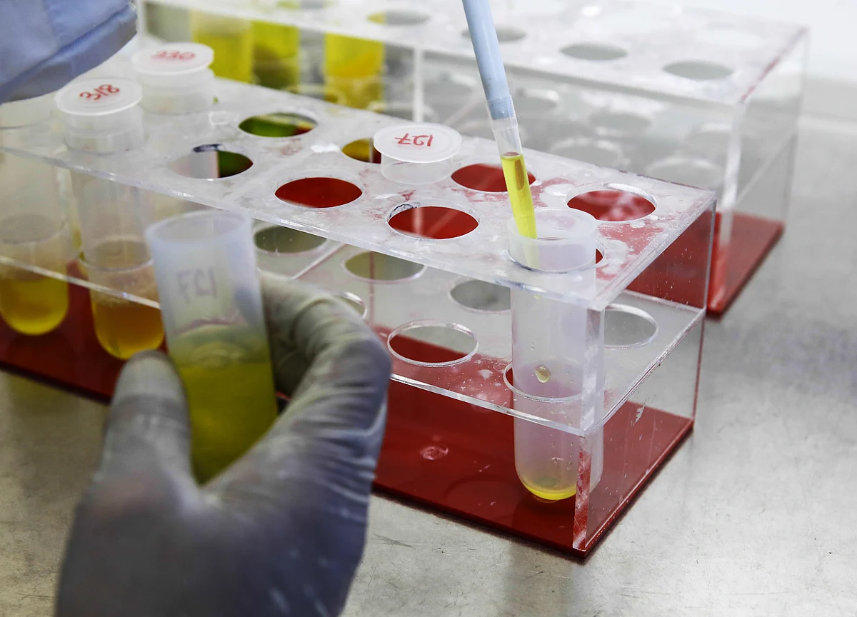 For $4,000, This Genetic Counselor Will Screen Your DNA for Thousands of Diseases