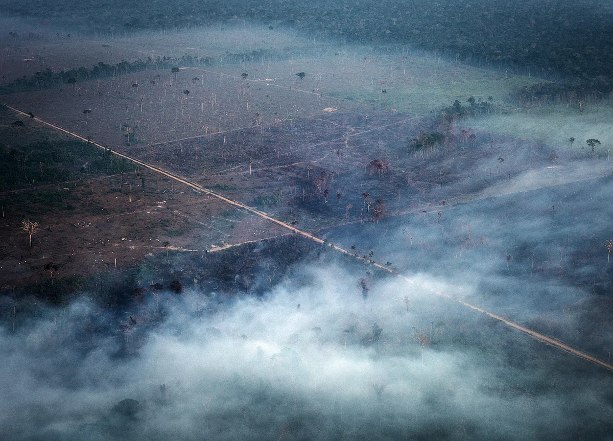 Amazon Gold and Army Suspicion Fuel Bolsonaro’s Rainforest Rage