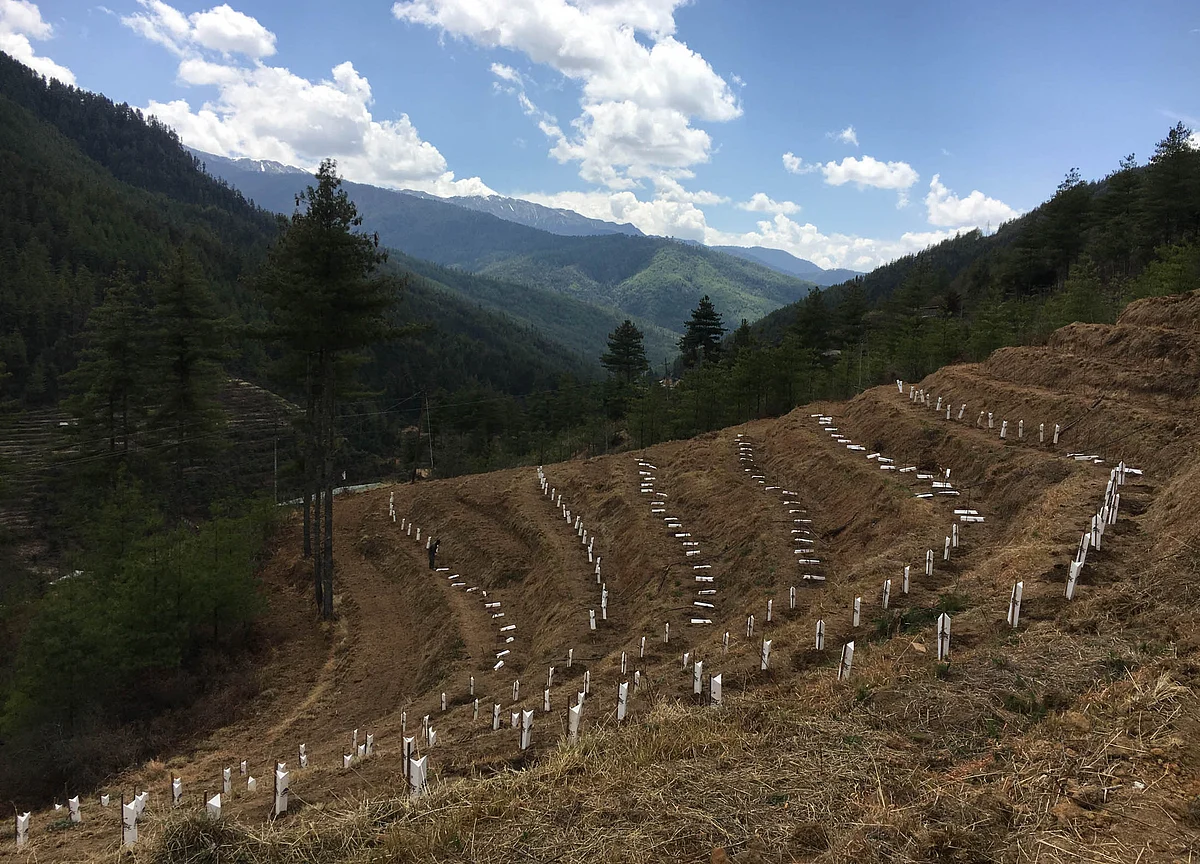 The World’s Newest Wine Frontier Is the Himalayan Kingdom of Bhutan
