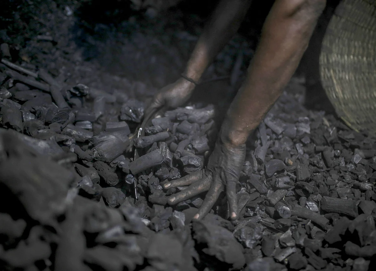 Q1 Results: Coal India’s Profit Beats Estimates