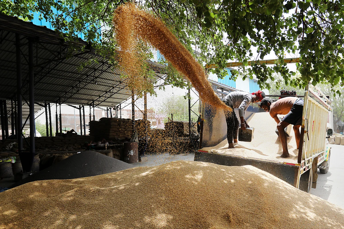 Farm Revenues, Profits Set To Rise Despite Uneven Rains, Says Crisil