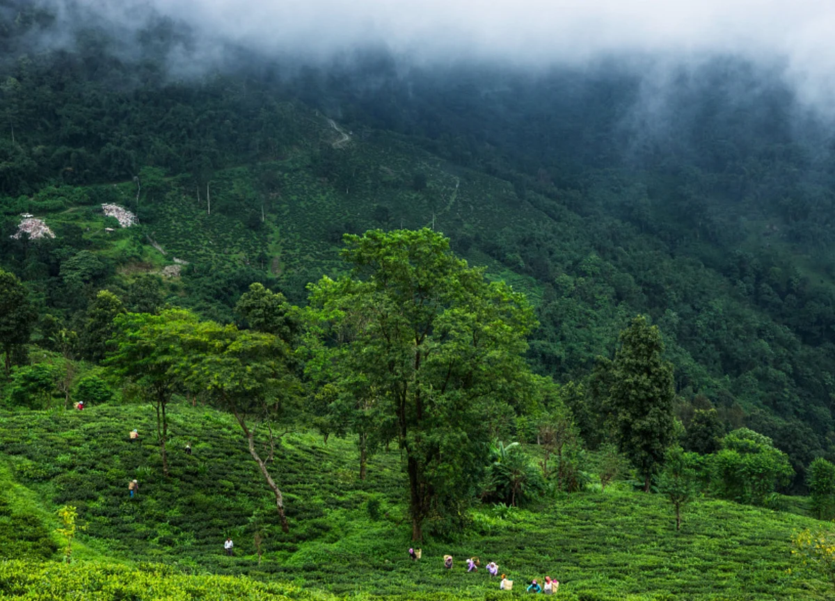 After Jammu & Kashmir Bifurcation, Hill Parties Want Darjeeling To Be Union Territory
