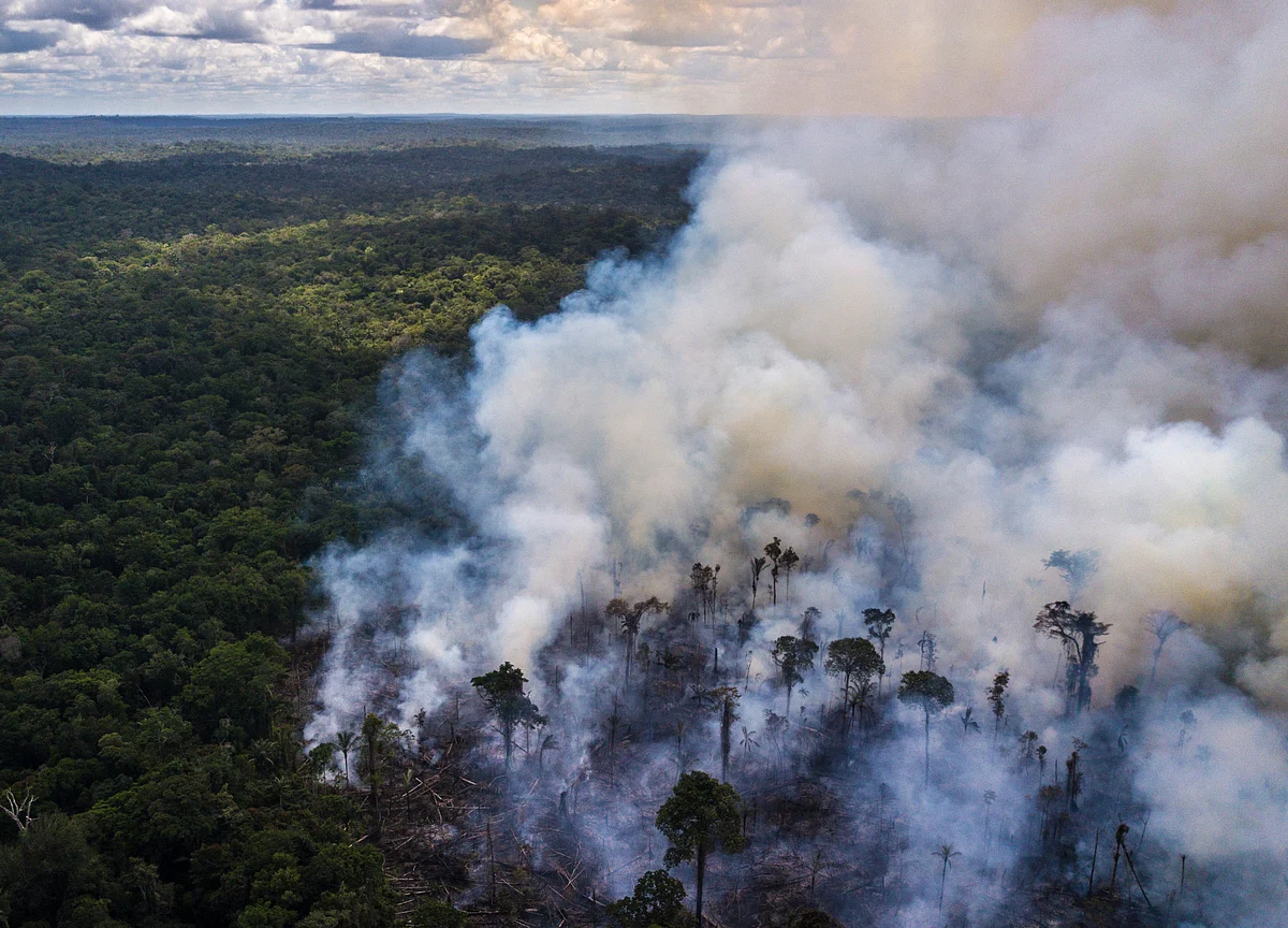 As Fires Rage in Amazon, Brazil Pushes Back Against Global Scorn