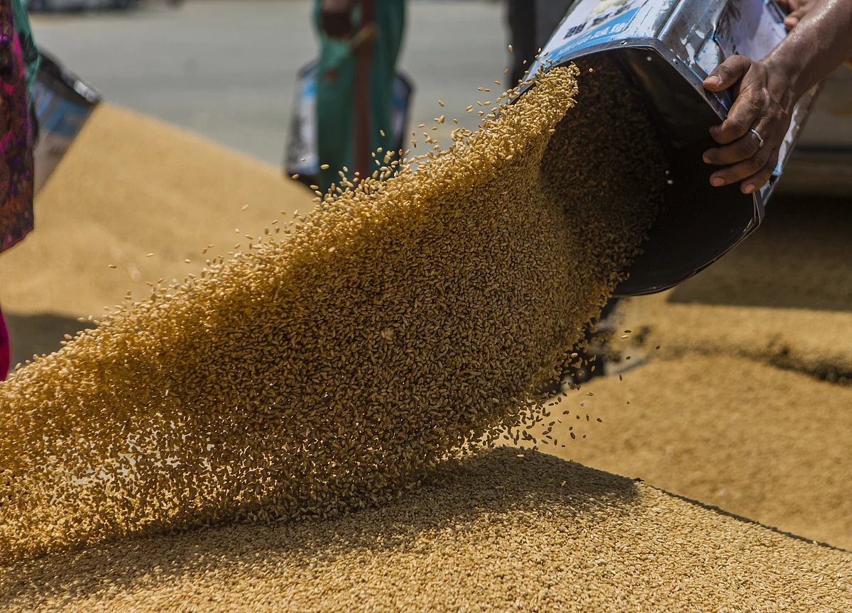 Chief Ministers’ Panel Suggests Amendments In Essential Commodities Act