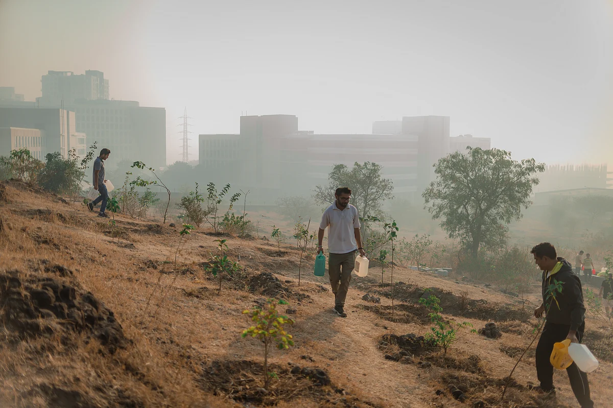 Outreach volunteers planting trees at Quadron Hill, Pune. (Photograph: Cognizant)