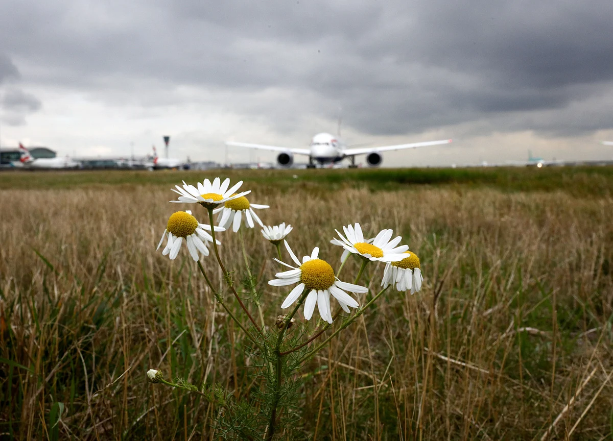 Europe’s Last Land Frontier Is Opening Up