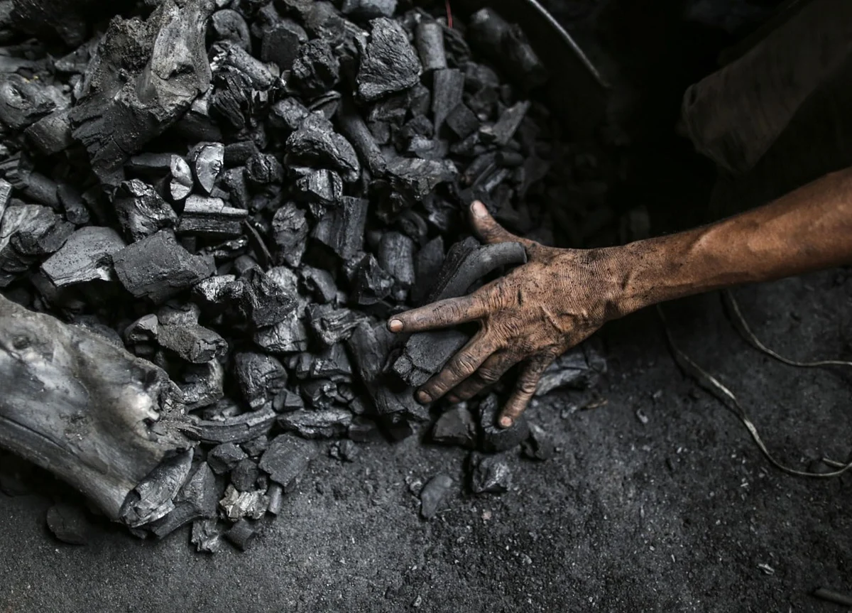 Coal India To Conduct Non-Deal Roadshow On Further Divestment