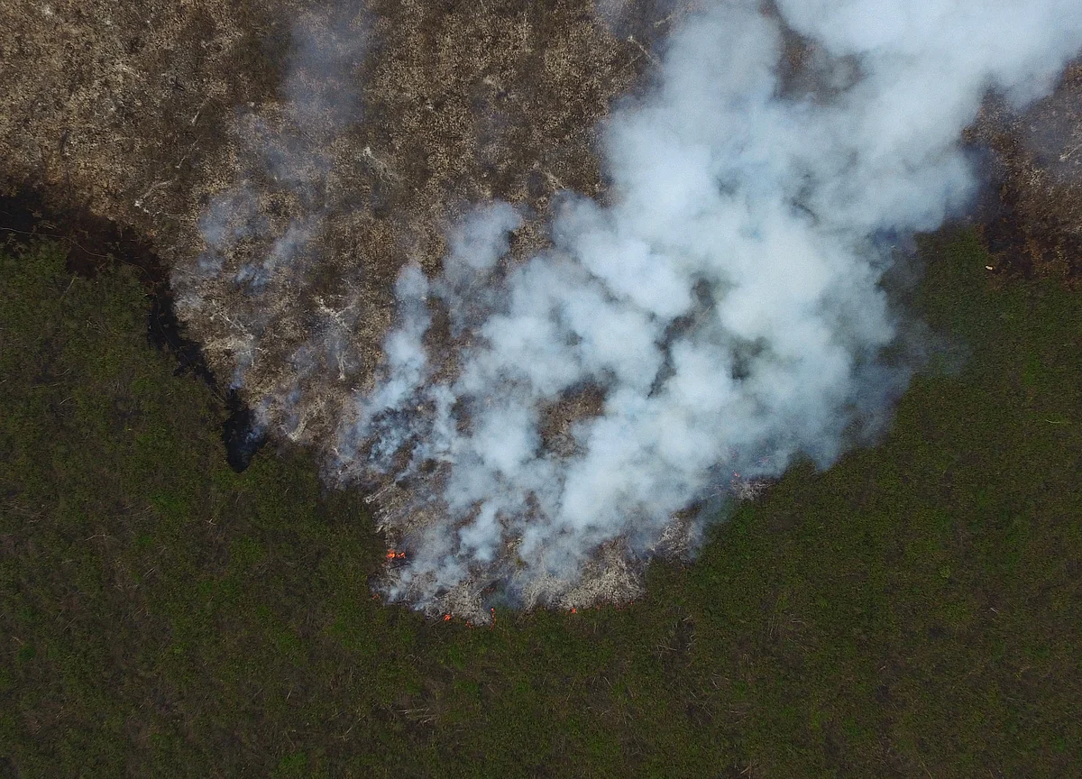 Haze Threat Looms Over Singapore as Indonesia Forest Fires Rage