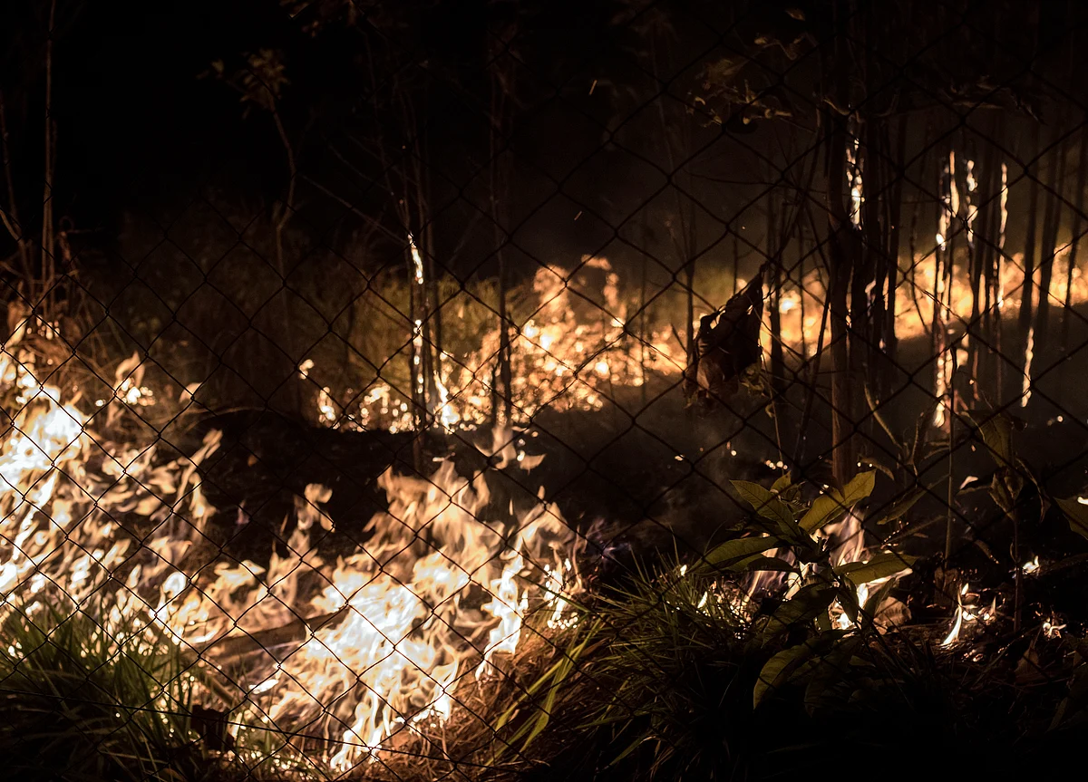 As the Amazon Burns, Brazilian Agriculture Faces Backlash Threat