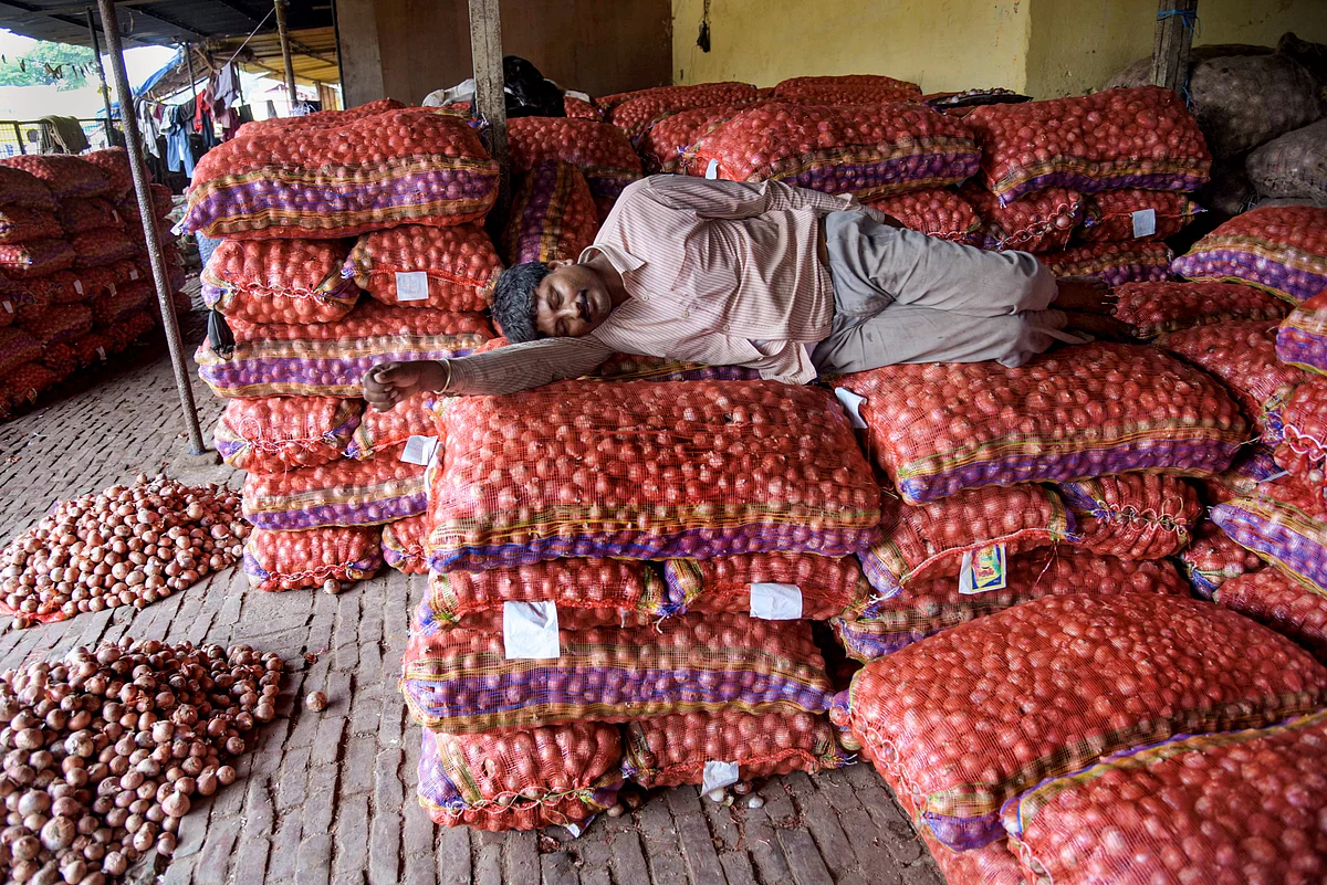 A labourer rests on sacks of onions at a wholesale market in Prayagraj. (Image courtesy: PTI) 