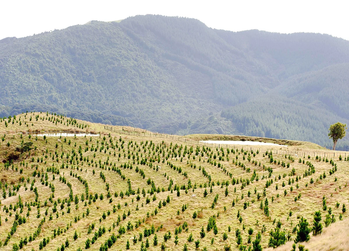 Carbon Could Be the New Cash Crop After Brexit