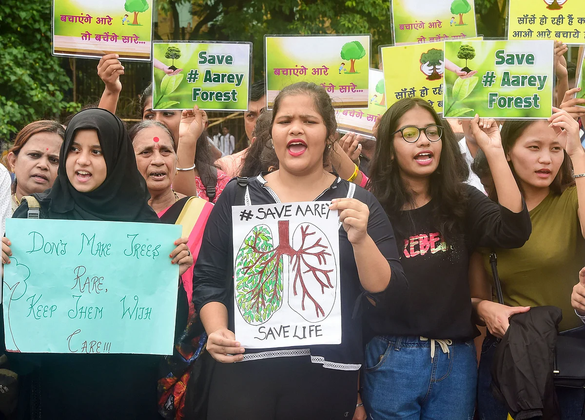 No Tree Felling In Aarey Colony Till Sept. 30, Bombay High Court Tells Mumbai Metro