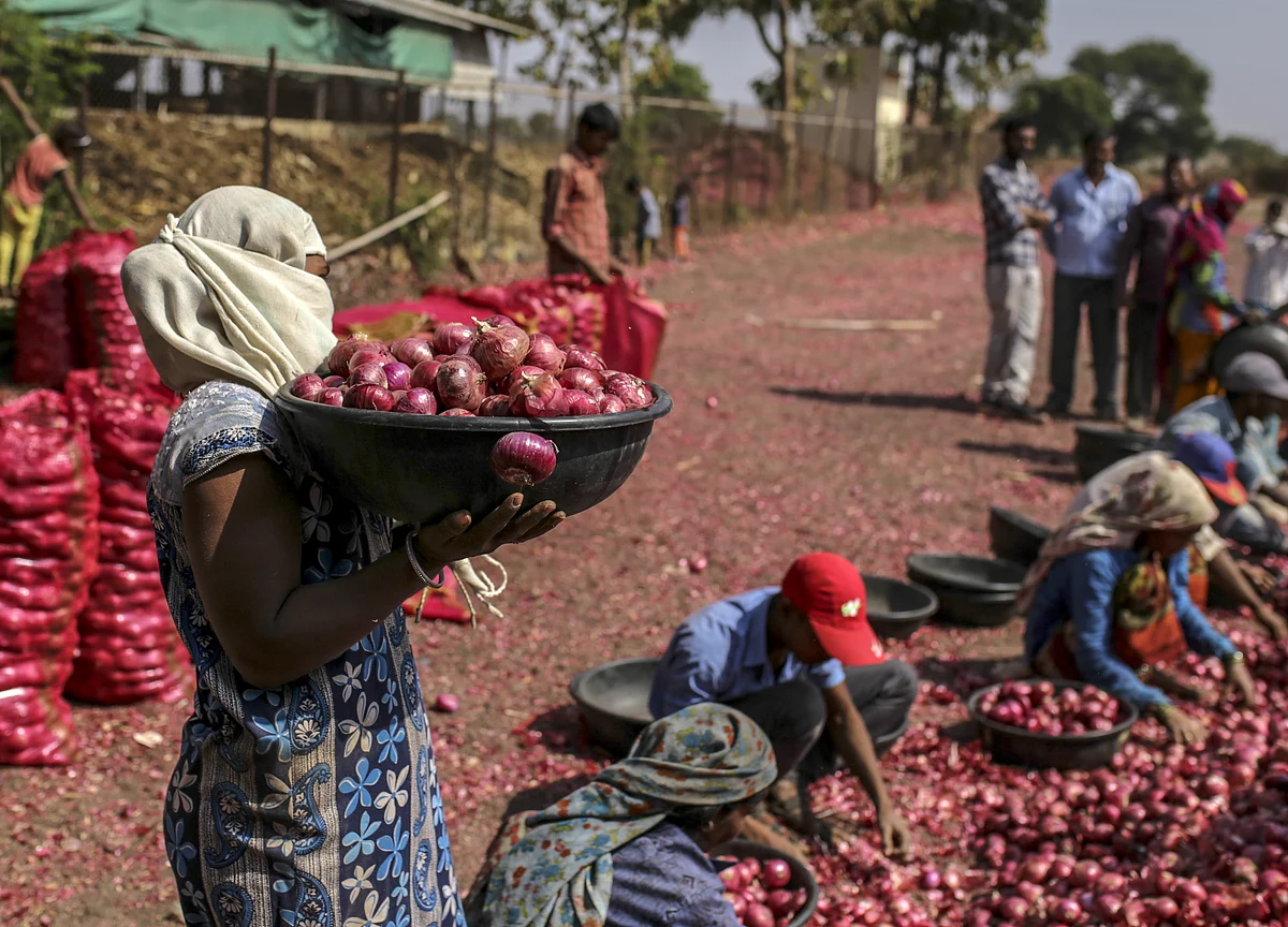 Cabinet Approves Import Of 1.2 Lakh Tonne Onion