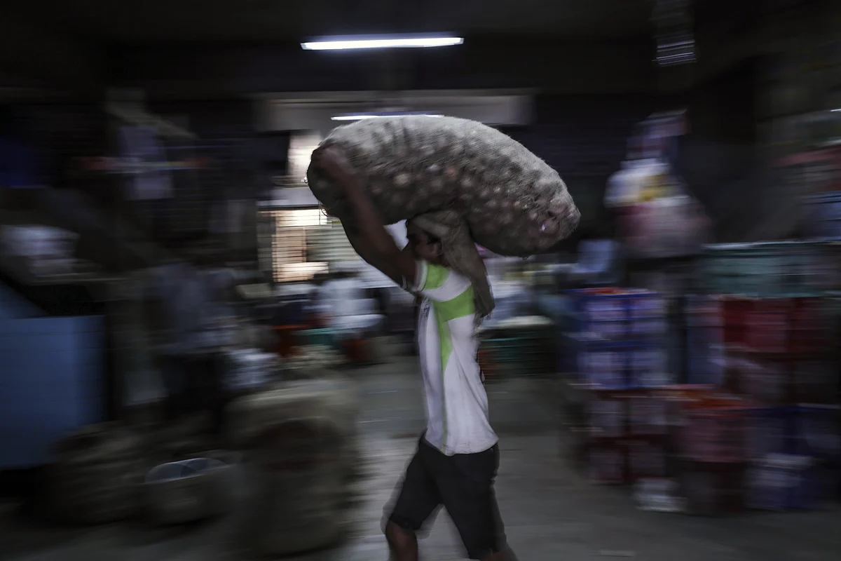 CPI Inflation Rises To 10-Month High Led By Urban Food Prices