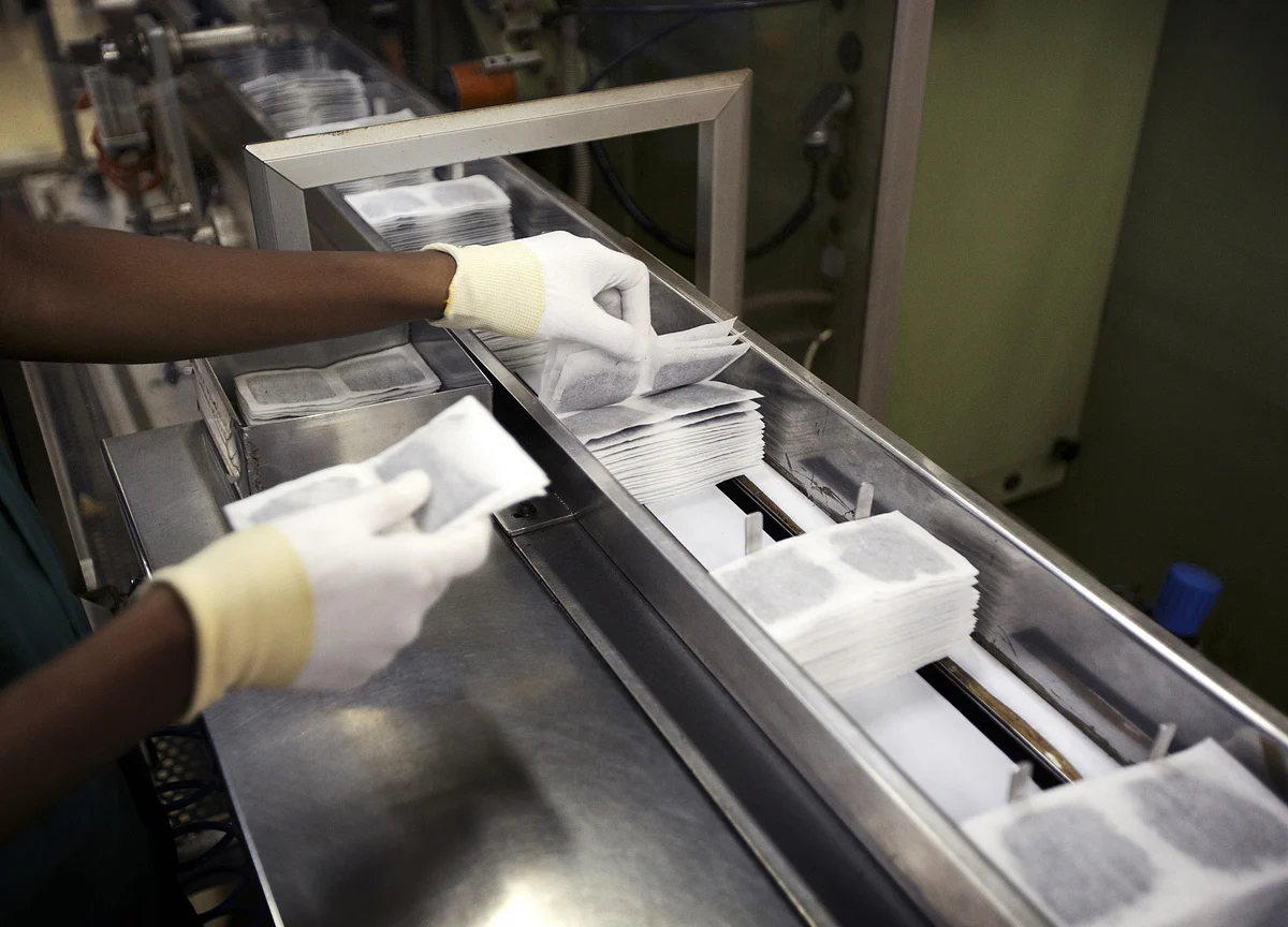 Plastic Teabags Release Billions of Tiny Particles, Study Says