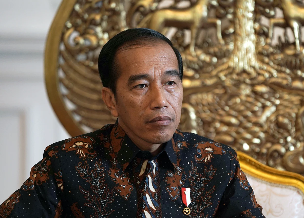 Jokowi Wants Indonesia to Be More Than a Raw Material Giant