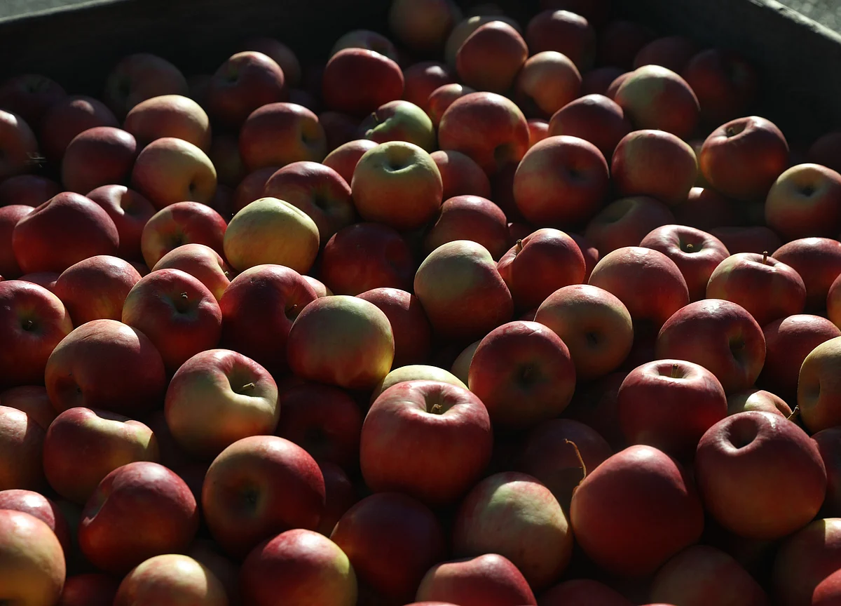Indian Chemical Giant UPL Bested by U.S. Upstart in Fight Over Apples