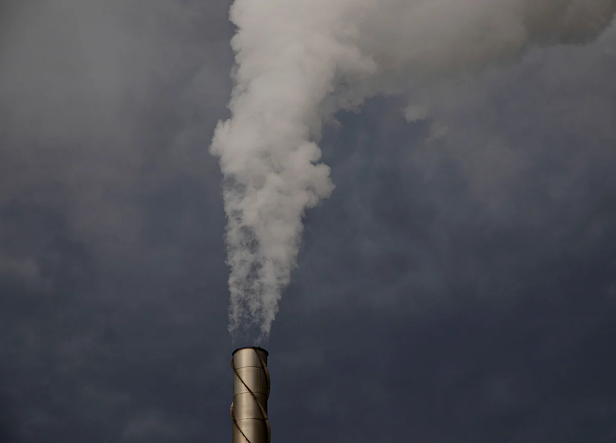 Central Banks Should Act on Climate Change, Former Official Says
