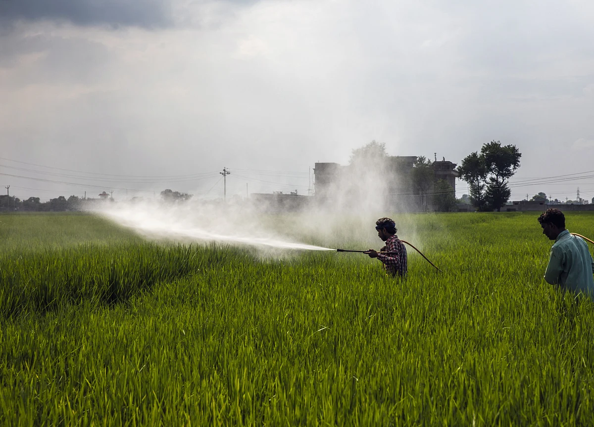 Coromandel International: H2 Looks Promising Owing To Better Rabi Season, Says Motilal Oswal