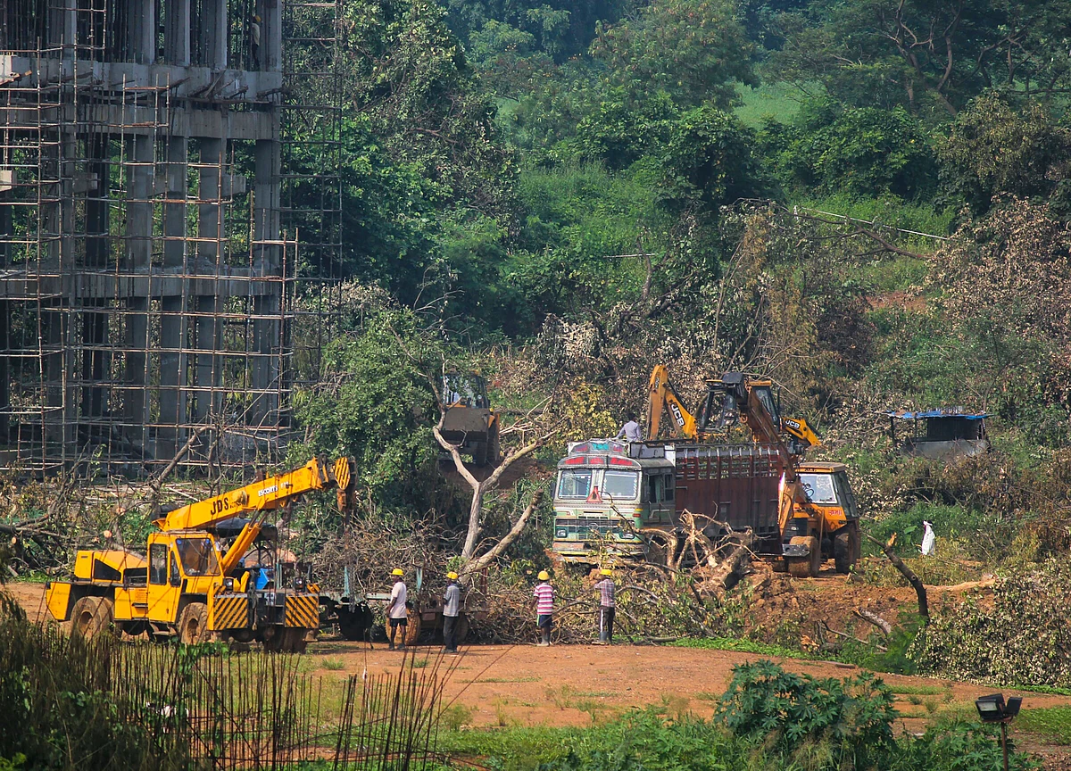 Maharashtra Removes Mumbai Metro Managing Director Ashwini Bhide Amid Aarey Tree Felling Controversy