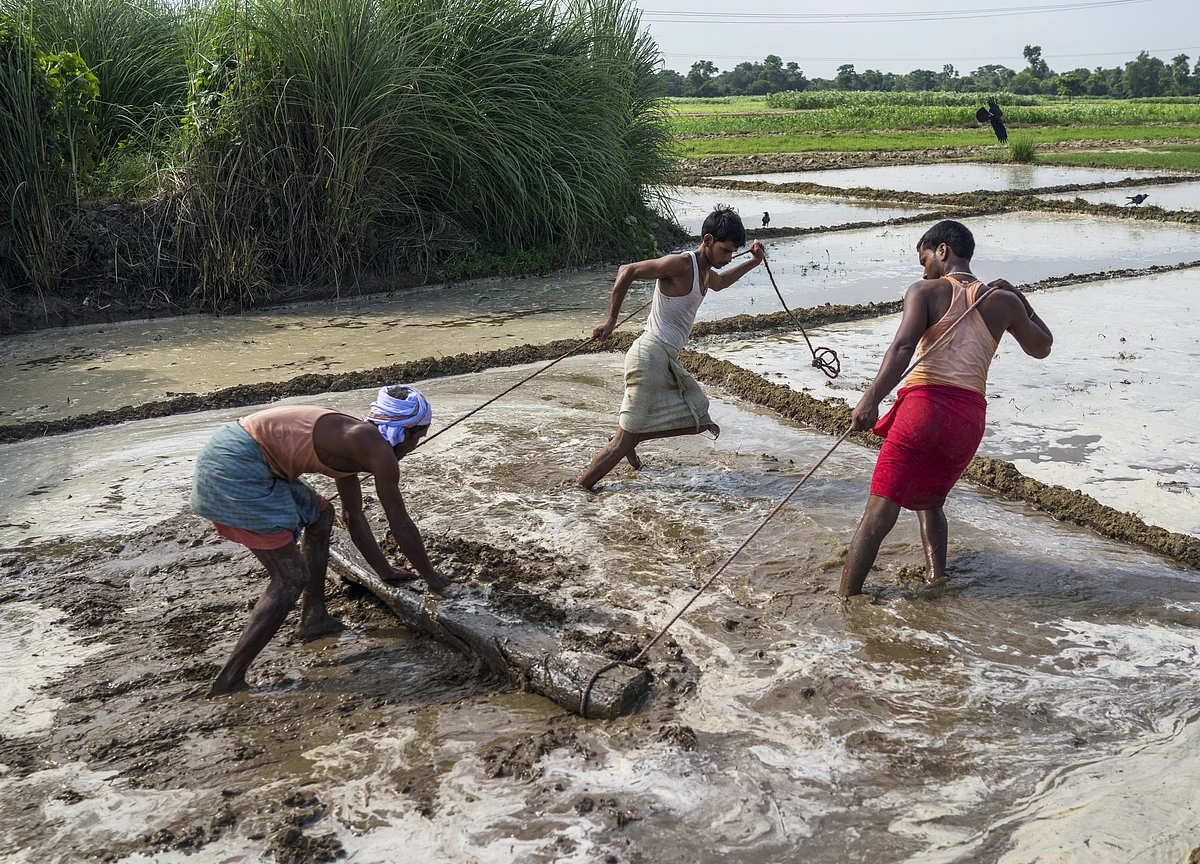 India’s Unemployment Rate Falls In September Led By Rural Jobs