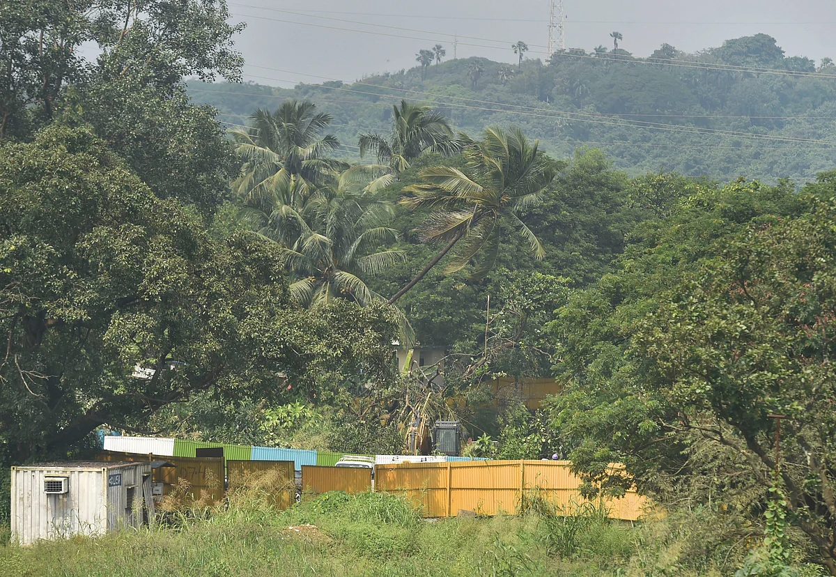 Workers cut-down trees for the Metro car shed project in the Aarey colony (Photo: PTI)
