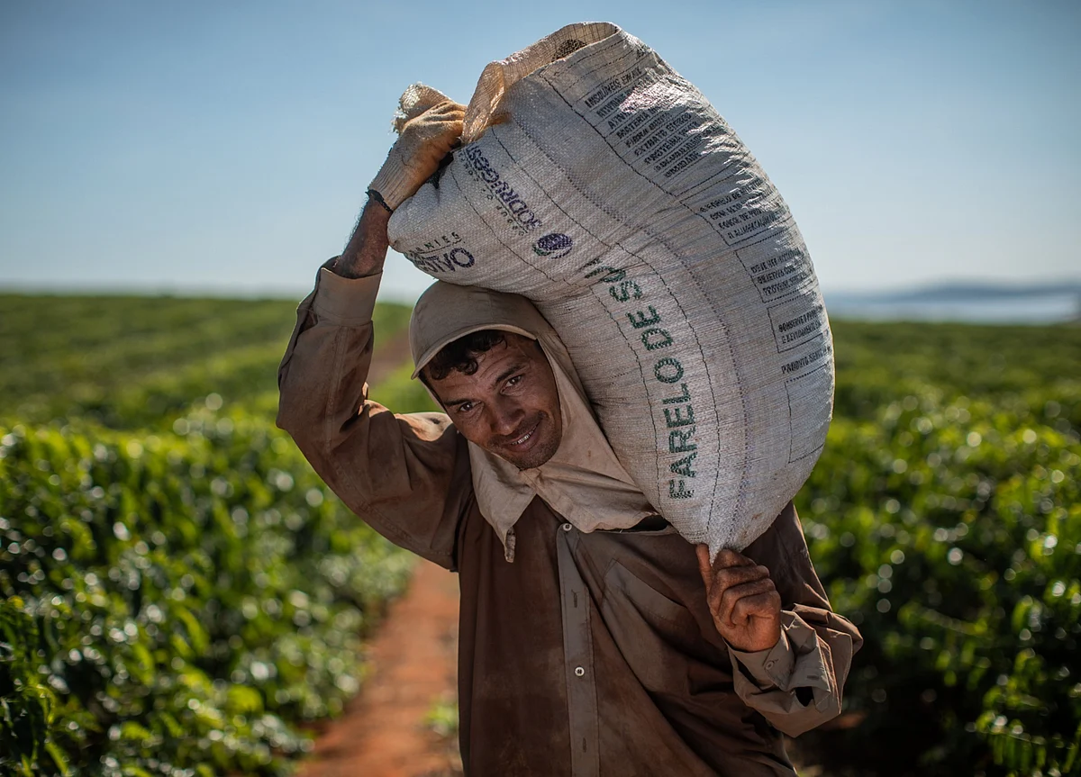 Brazil Expected to Oust Vietnam as World's Top Robusta Coffee Grower