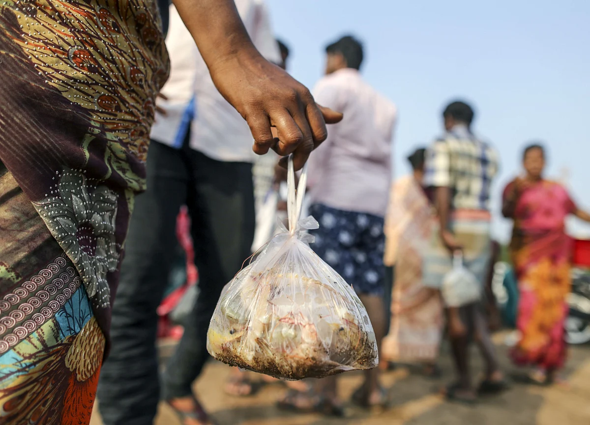 India's Biggest Packager Sees Profits in Plan to Cut Plastic