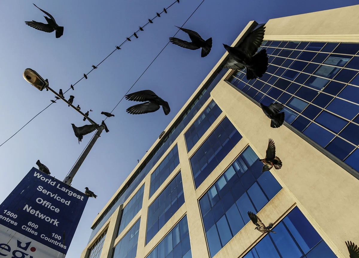 Peninsula Land Repays SBI After Rs 2.35 Crore Default