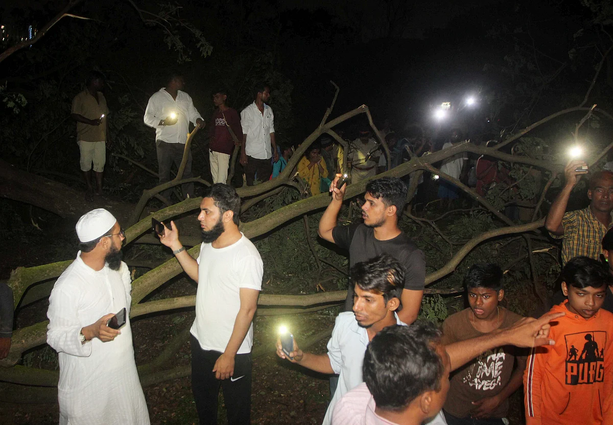 People enter in to the metro car shed on the spot during tree cutting. (Photo: PTI)