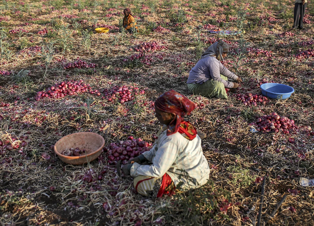Nearly A Third Of All Farm Suicides In India In 2016 Were In Maharashtra: Crime Data