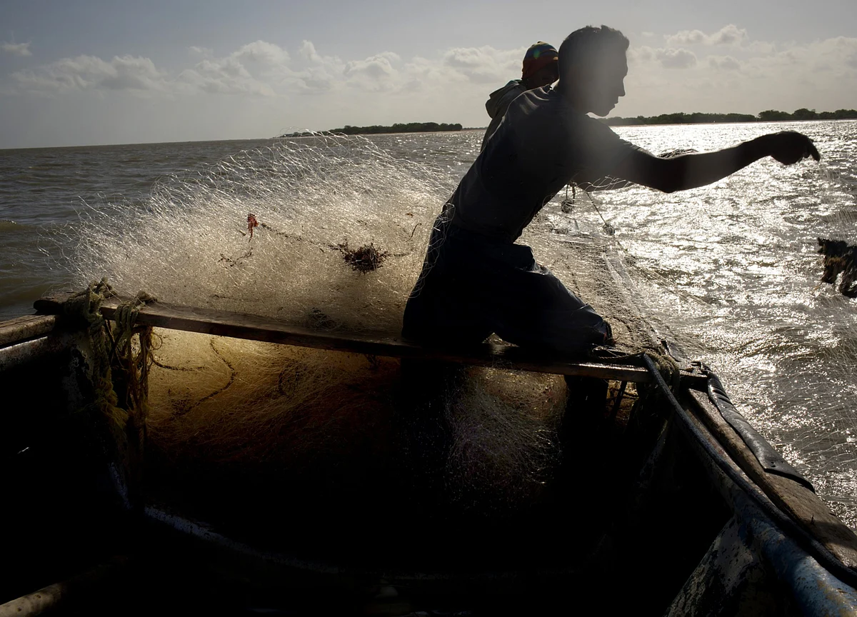 BQuick On Nov. 29: Top 10 Stories In Under 10 Minutes