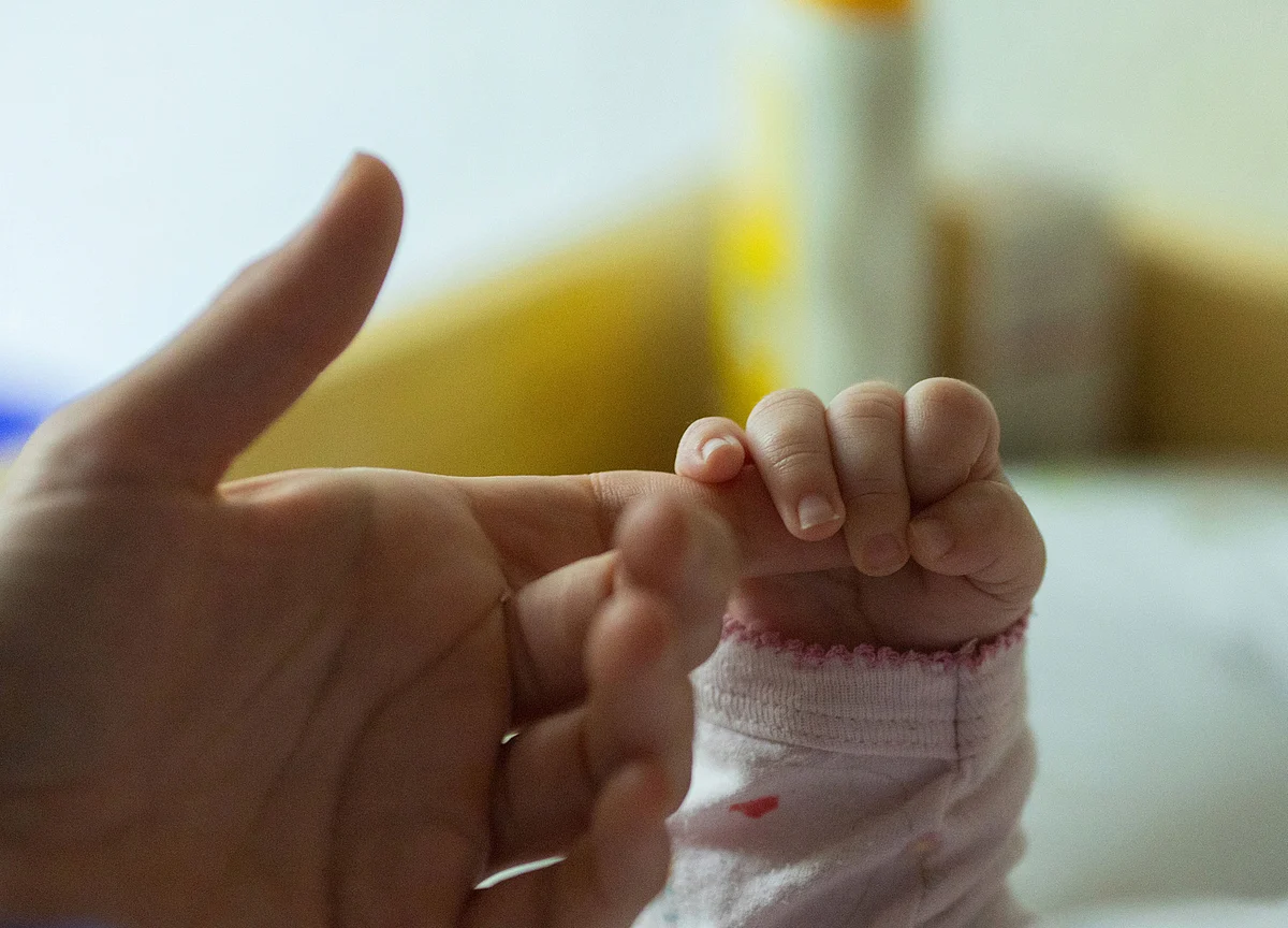 The Global Fertility Crash