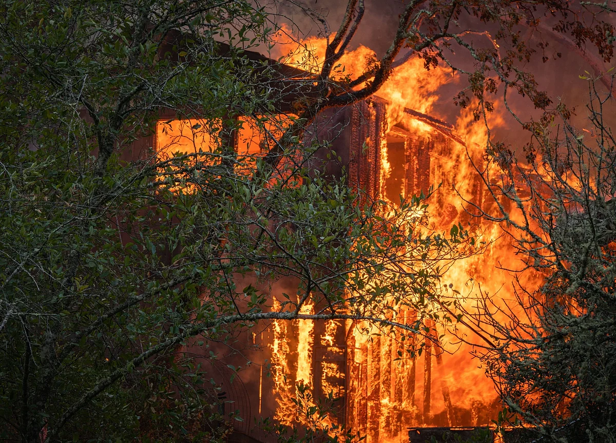 Trump to California’s Governor: Get ‘Act Together’ on Fires